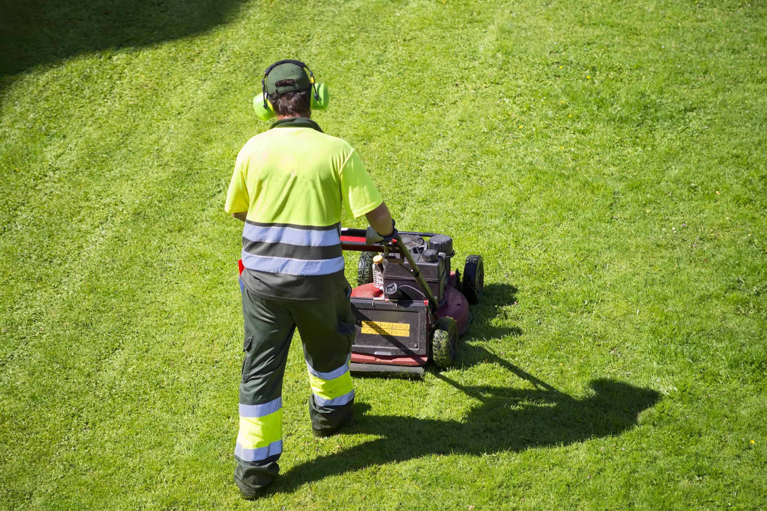 Belfast cleaning company